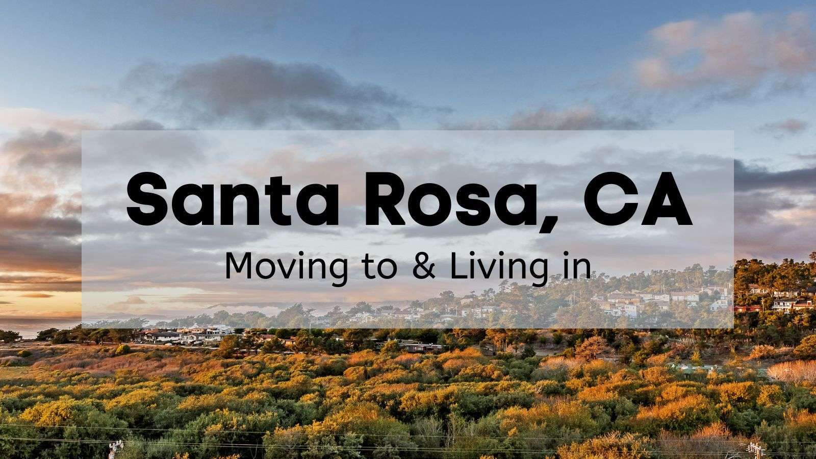 The Living Room Jobs Santa Rosa