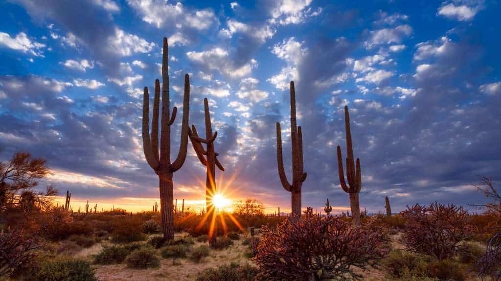 Living In Sun City AZ Guide To The Famous Sun City Arizona Living In Sun City AZ Guide To The Famous Sun City Arizona